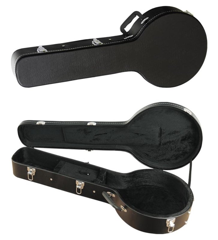 Cittern and dulcimer cittern hard case