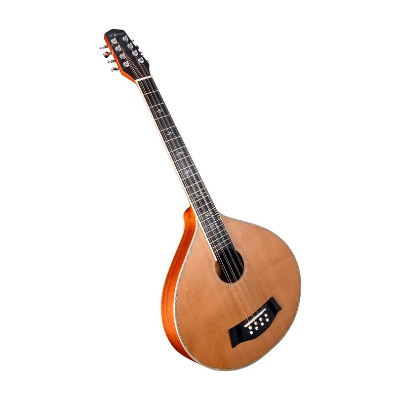 Irish Bouzouki-Cister mit Tonabnehmer - basierend auf Gitarrencister