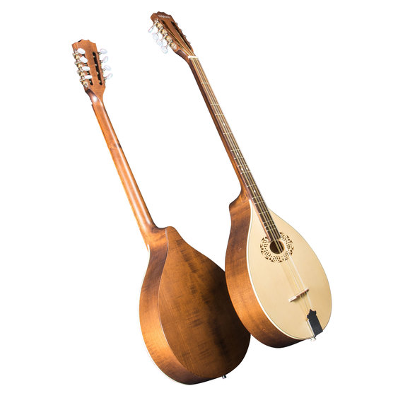 DULCISTER (Dulcimer-Cister) mit Tonabnehmer
