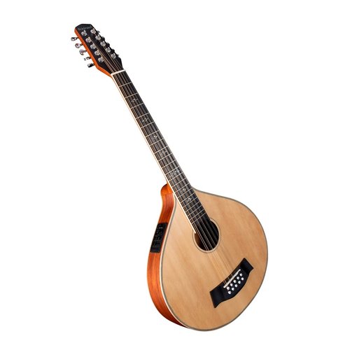 Cittern 10-string with pick-up - based on our guitar cittern