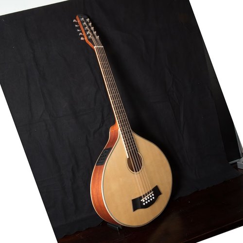 Bass Cittern in C major with pick-up - based on our guitar cittern