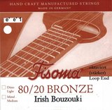 Strings for Irish Bouzouki-Cittern FISOMA with Ball End