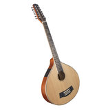 Guitarcittern 12 String - with pickup