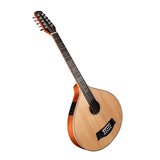 Blarge 10-string with pick-up - based on our guitar cittern