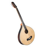 Gitarrencister 6 Saiten - vollmassiv, mit Tonabnehmer