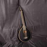 Guitarcittern 12 String black - with pickup