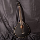 Gitarrencister 6 Saiten schwarz - mit Tonabnehmer