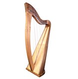 Minstrel Harp with 22 strings + bag