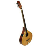 Bouzouki (Irish Bouzouki)