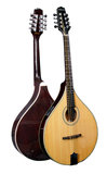 Mandocellos