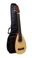 Reisegitarre